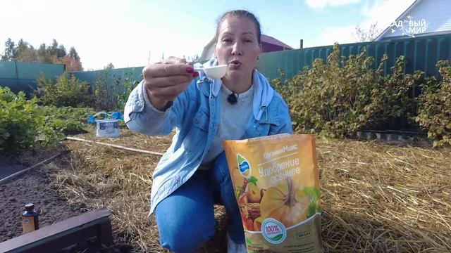 Чем же вкусным заправить грядку под чеснок осенью? Как правильно посадить озимый чеснок. смотреть онлайн