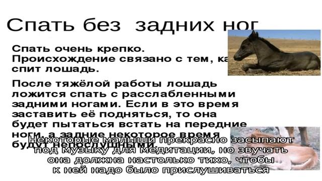 Как уложить малыша без укачивания смотреть онлайн