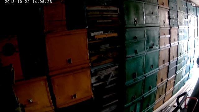 Пчеловодство начинающим.Пчеловодство с нуля.С чего начать. смотреть онлайн