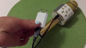 Микрофон WS 858/Как зарядить /