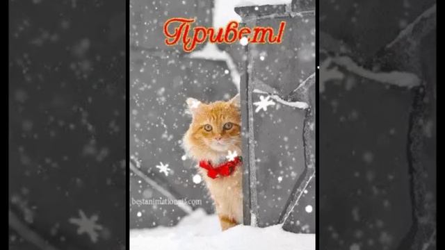 ❄️ Доброе Зимнее Прекрасное утро ☕ Хорошего Удачного дня 👍💕💯