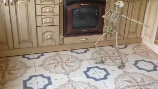Танец скелета смотреть онлайн