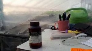 Фитактив экстра на капусте и томате