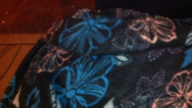 Болгарский галетник ПГС-328Б смотреть онлайн