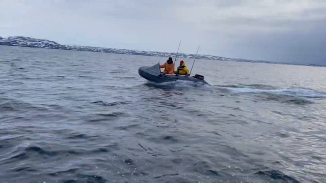 Идем с рыбалки на берег. Баренцево море, апрель 2022 г. смотреть онлайн