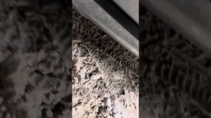 Ford Galaxy 1998 года обзор