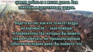 К чему снится Ведро сонник, толкование сна