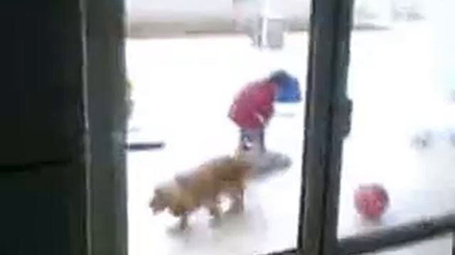 Мальчик с собакой смотреть онлайн