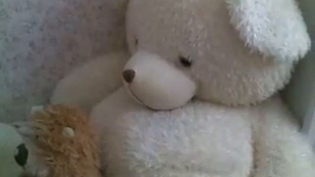 Эти любимые чихуахуа смотреть онлайн