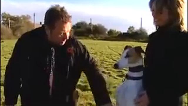 Wally Downes Greyhound owner смотреть онлайн