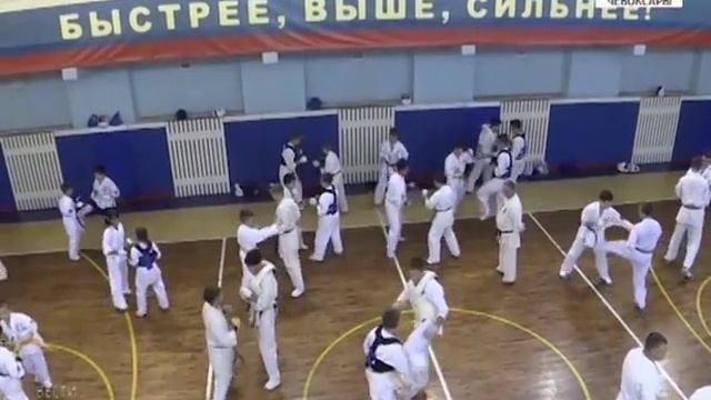 Зачем каратисту механика смотреть онлайн