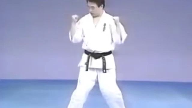 16 - Удары руками - Сейкен Аго Учи смотреть онлайн