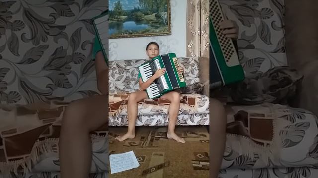 Беляшик играет на аккордеоне. смотреть онлайн