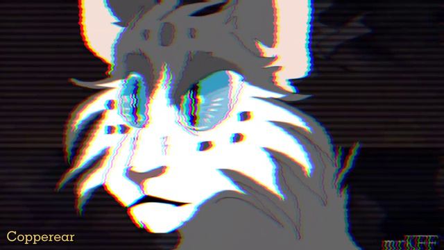 Коты-Воители: Уголек, Кленовница ~Die, Die My Darling 🖤 ~ [2к♥️]