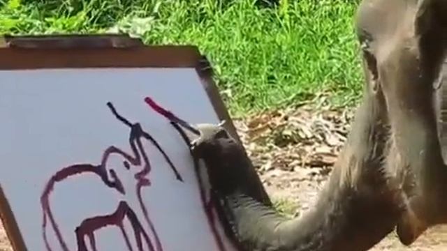 Слон рисует слона смотреть онлайн