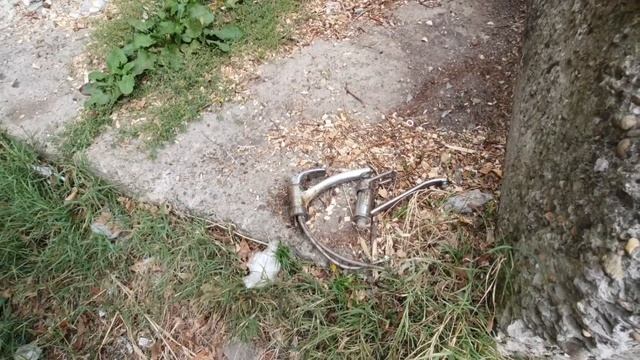 Еда с кормушек, Находки в помойках Краснодарского края. серебро с пляжа смотреть онлайн