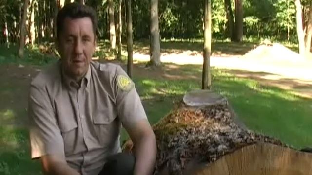 Miškas Laukia Atsakingų Svečių