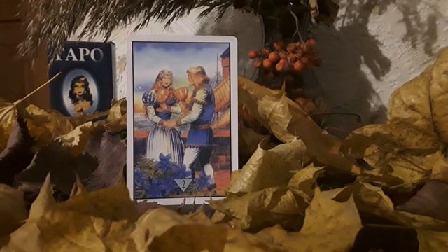 Значение Карт Таро. Двойка Чаш (Кубков) смотреть онлайн