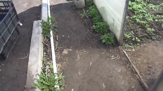 ХОЛОДНО!!! ОБЗОР ОГОРОДА 13 МАЯ. Ольга Чернова. смотреть онлайн