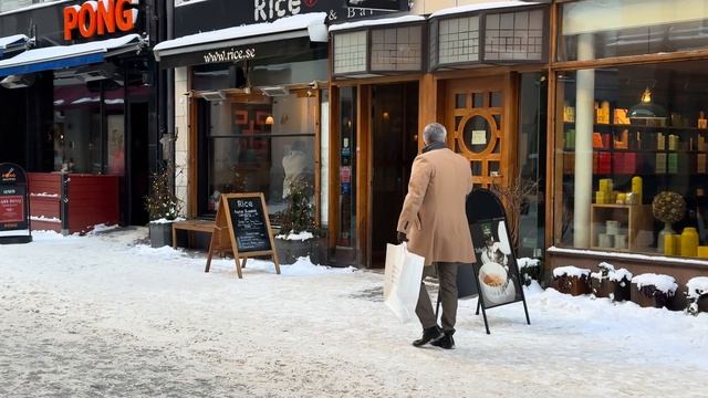 -13°C in Stockholm ?| What Are People Wearing | Cold Winter Street Style | Fashion Trends 2023/2024