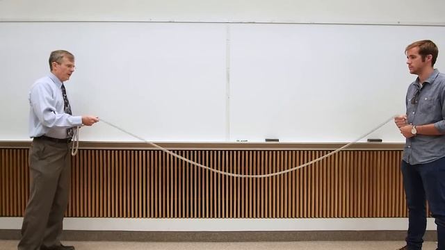 Standing Wave Demo: Slinky смотреть онлайн