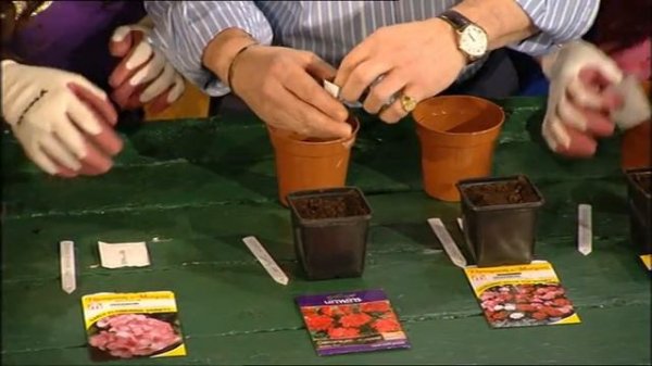 The Saturdays - Gardening on Alan Titchmarsh Show