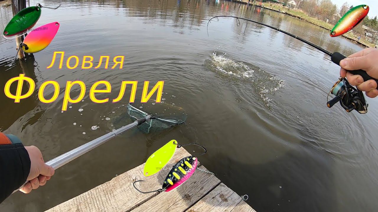 Ловля форели на блесна. смотреть онлайн