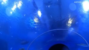 20 Новых Крутых Горок в Аквапарке, От Которых Ты Офигеешь.