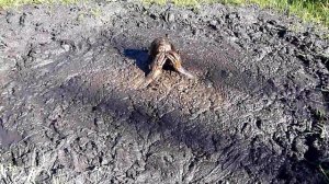 Man Dies from Quicksand