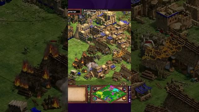 Elephant vs Siege Onager смотреть онлайн