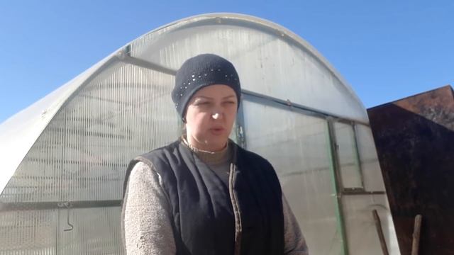 Старый, но уже новый Амурка. Долой рога. смотреть онлайн