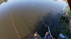 ЭТО НЕ РЫБАЛКА, А ЖОР КАКОЙ-ТО!Рыбалка на ПОПЛАВОК! Ловля ЛИНЯ на УДОЧКУ, все дело в Креветке