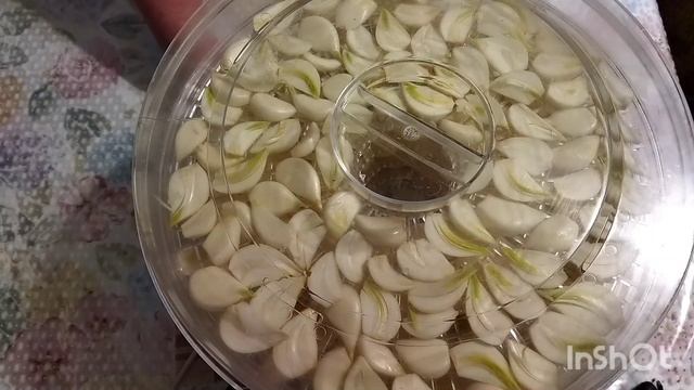 Сушений часник - найкраща приправа до страв. смотреть онлайн