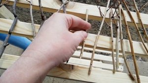 Весенняя ОБРЕЗКА и черенкование спирей.Какие спиреи можно обрезать весной?Как размножить?