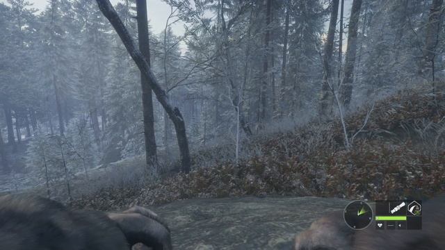 The Missing Lynx! Medved Taiga The Hunter Call of The Wild 4K смотреть онлайн