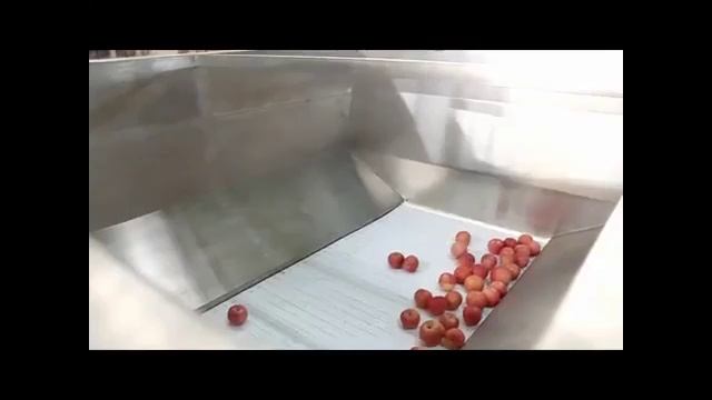 apple washing sorting cleanning line смотреть онлайн