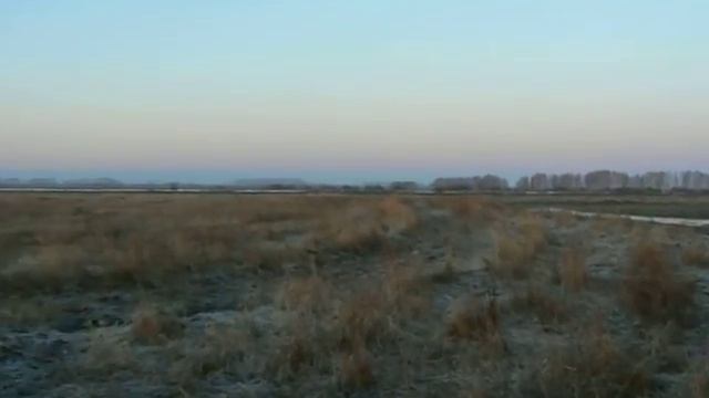 весенняя охота на гуся в Тамбовской области смотреть онлайн