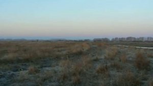 весенняя охота на гуся в Тамбовской области