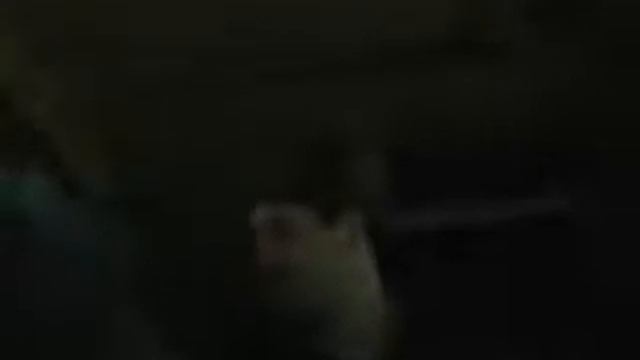 Путешествие из Норильска в Игарку смотреть онлайн