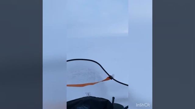 Рыбинка 05.02.22 смотреть онлайн