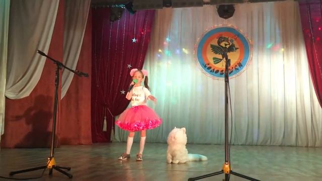 ДАША НОВИКОВА - КОШКА БЕСПОРОДНАЯ смотреть онлайн