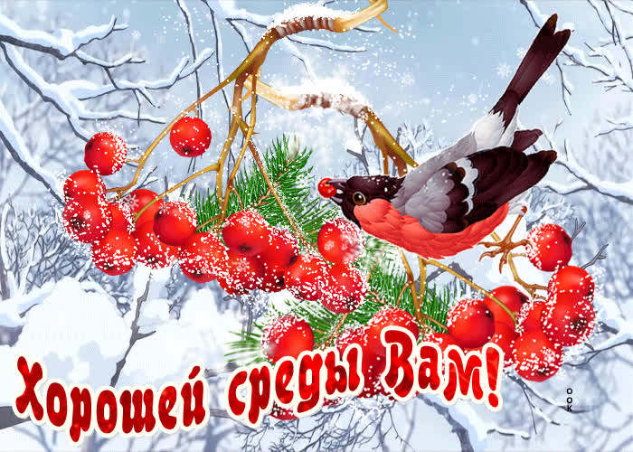 С Добрым Утром Среды! Самое красивое Пожелание Доброго Утра!