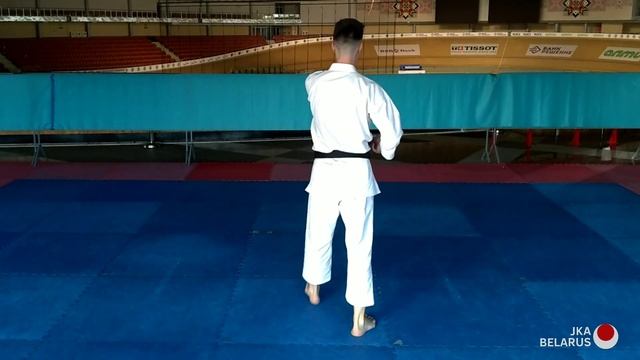 Тренировки дома - 13 - Home Karate Shotokan - JKA Kihon смотреть онлайн