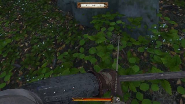 Kingdom Come: Deliverance #10 Hasenjagd mit Hans Capon - neue beste Freunde? смотреть онлайн