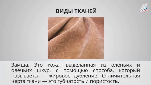 Мир тканей. Для чего нужны ткани? смотреть онлайн