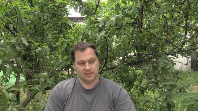 Не все еще получается - Лабиринты Знаний смотреть онлайн