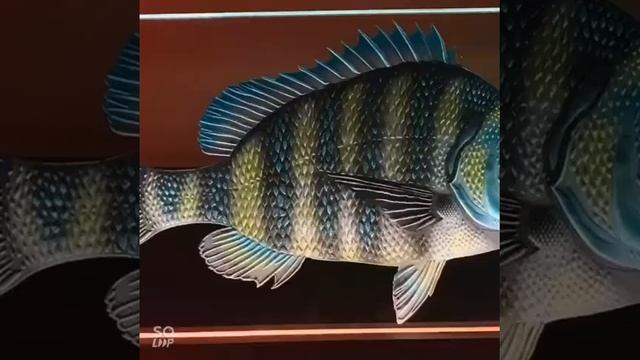 Glass Aura - Sand blasting , colouring with led смотреть онлайн