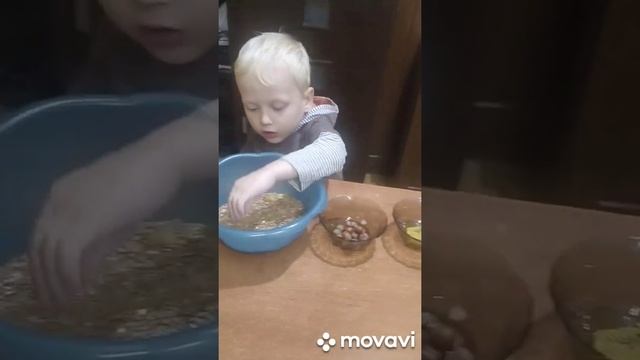 Игры с крупами. Развитие мелкой моторики рук смотреть онлайн
