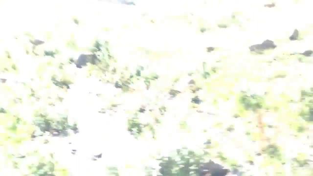 Горы, Бишкек ч 4 смотреть онлайн