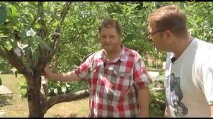 В гостях у Николая Курдюмова